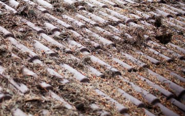 Portscatho roof cleaning companies